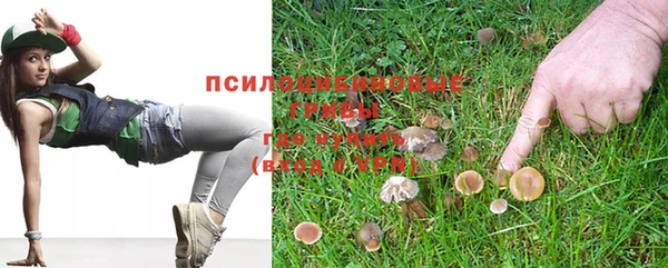 твердый Горнозаводск